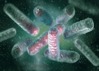 What is the prevalence of carbapenem-resistant Enterobacterales among individuals with and without health risk factors?