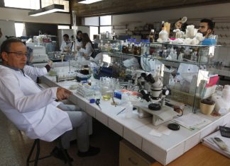 How the US can harness the possibilities of biotechnology – The Hill