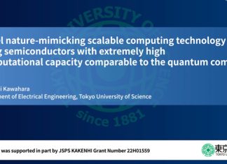 Scalable and fully coupled quantum-inspired processor solves optimization problems