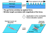 Scientists develop direct measure for strength of skeletal muscle myotubes