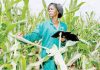 Scientists, farmers reject bill seeking to limit biotechnology adoption – Daily Trust