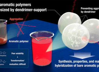 Synthesis of bare aromatic polymers with dendrimer support suggests the creation of unique hybrid materials