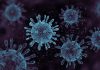 Understanding recombination rates in RNA viruses