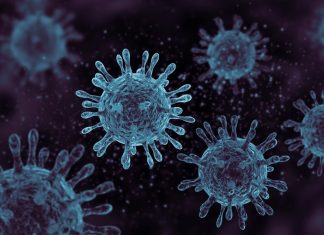 Understanding recombination rates in RNA viruses