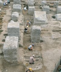 Black Death Selected for Immune-Related Genes, Affecting Disease Susceptibility Today