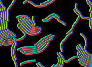 Deep learning tool identifies bacteria in micrographs