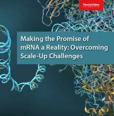 Making the Promise of mRNA a Reality: Overcoming Scale-Up Challenges