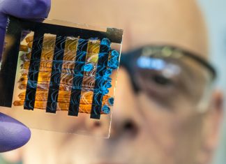 New biotechnology combines targeted and immune therapies to kill treatment-resistant cancer cells – Mirage News