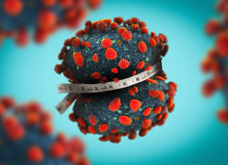 Obesity and biological sex may make individuals more vulnerable to COVID-19, WVU study suggests