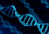 Prenatal Genetic Testing Market to Improve Accuracy Through Technological Advances