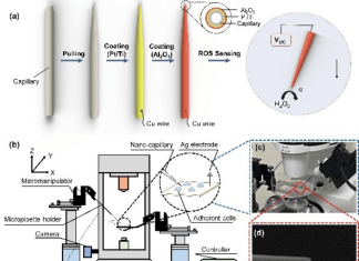 Robotic intracellular electrochemical sensing for adherent cells