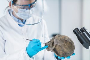 Svante Pääbo—First Evolutionary Anthropologist to Win Nobel Prize