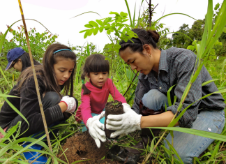 15 ways to reforest the planet