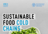 Amid food and climate crises, investing in sustainable food cold chains crucial: UN