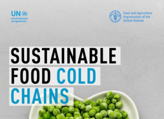 Amid food and climate crises, investing in sustainable food cold chains crucial: UN