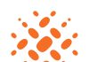 AROA BIOSURGERY ANNOUNCES HALF YEAR RESULTS