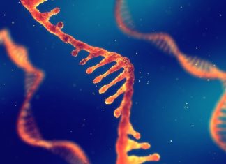 Beyond vaccines: emerging technologies capable of unlocking the promise of biologically targeted mRNA therapeutics