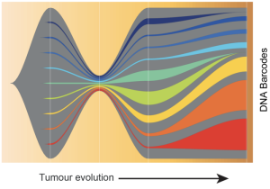 Cancer Cells’ Ability to Escape Immunity is Pre-Existing, DNA Barcoding Study Says