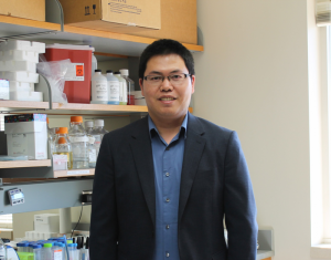 Encapsulated Probiotics Equipped with Nanoparticle Backpacks Show Promise for IBD Therapy