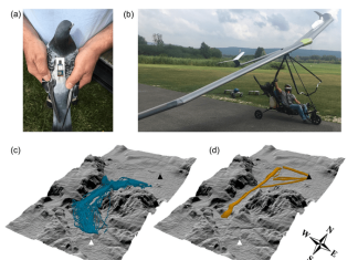 Flight of birds can help provide predictions on turbulence, new study suggests