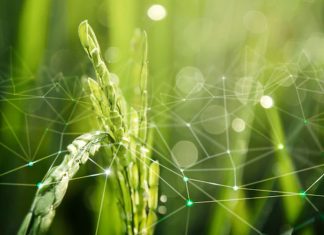How Artificial Intelligence is Transforming Biotechnology? – Analytics Insight