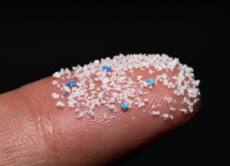 How micro(nano)plastics interact with human gut microbiota