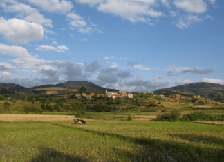 Human expansion 1,000 years ago linked to Madagascar’s loss of large vertebrates