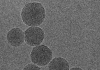 Novel nanoparticles deliver innovative cancer chemoimmunotherapy