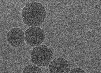 Novel nanoparticles deliver innovative cancer chemoimmunotherapy