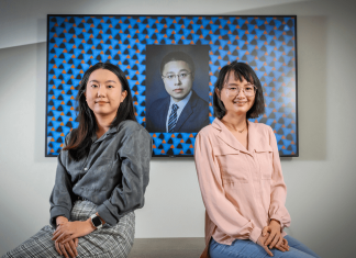 Organizing nanoparticles into pinwheel shapes offers new twist on engineered materials