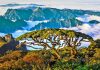 Yao Autonomous County for Healthcare Worldwide