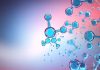 BBH: Portfolio Of Large-Cap Biotechnology Stocks Has Delivered Strong Returns – Seeking Alpha