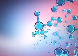 BBH: Portfolio Of Large-Cap Biotechnology Stocks Has Delivered Strong Returns – Seeking Alpha