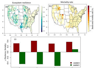 Forest resilience linked with higher mortality risk in western US, study finds