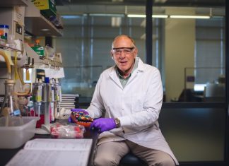 Imaging agent illuminates lung cancer tumors