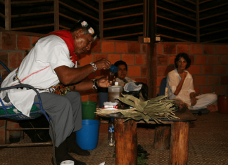 Music and ayahuasca’s role in treating substance use disorders in men