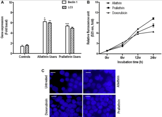 Oncotarget | The role of pyrethroid derivatives in autophagy and apoptosis crosstalk signaling and potential risk for malignancies