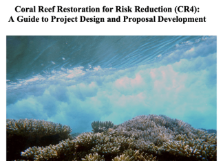 Report provides guide to funding for coral reef restoration projects