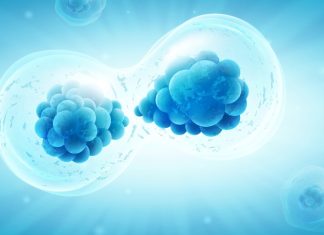 Study shows de novo origination of functional microproteins