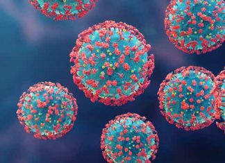 Vir Biotechnology: Strong Growth Prospects, But Risks Exist … – Seeking Alpha