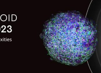2023 EVIDENT Organoid Conference to share the latest organoid innovations