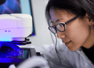 Danish researchers aim to spin artificial nerve fibres with new technology