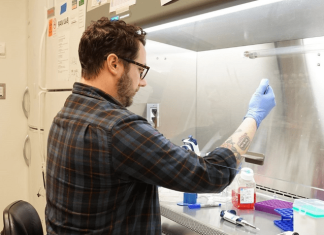 How regulatory T cells halt aberrant, self-reactive T cells