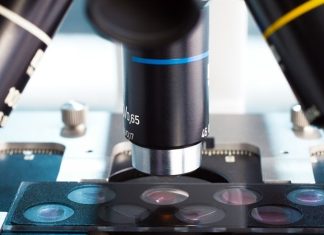 Innovations in expansion microscopy allow unprecedented view of the interior of cells