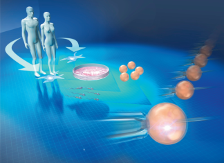 Intellectual property and assisted reproductive technology – Nature.com