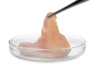 Multus Biotechnology closes $9.5M funding to bring cultivated meat … – Labiotech.eu