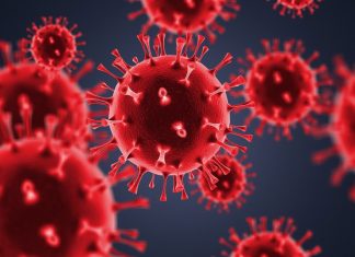Pan-vaccine antigen strategy confers protection against cross-clade SARS-CoV-2 variants, including vaccine-resistant Omicron variants