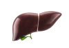 Researchers discover novel candidate drug targets for advanced non-alcoholic fatty liver disease