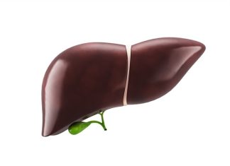 Researchers discover novel candidate drug targets for advanced non-alcoholic fatty liver disease