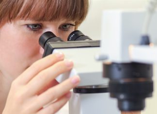 Researchers reveal previously unknown properties of T cells